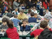 50839890_2301469273204664_2285320521602039808_n